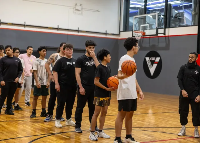 Vibe basketball court