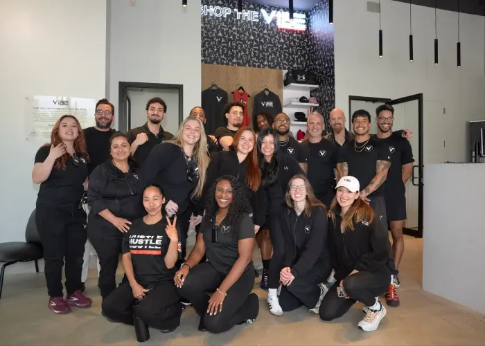 vibe-family